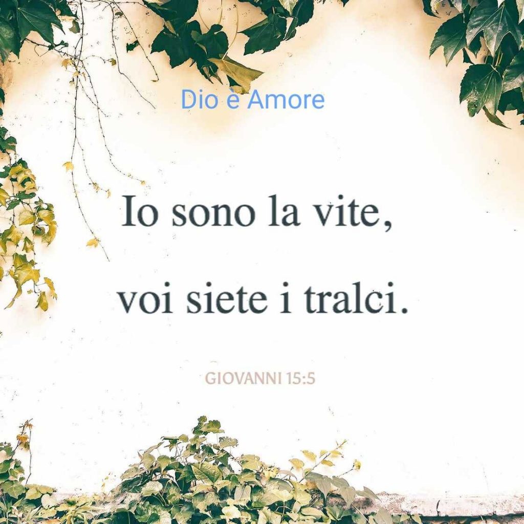 Io sono la vite, voi siete i tralci. (Giovanni 15:5)