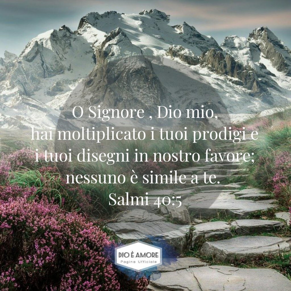 O Signore, Dio mio, hai moltiplicato i tuoi prodigi e i tuoi disegni in nostro favore; nessuno è simile a te. (Salmi 40:5)