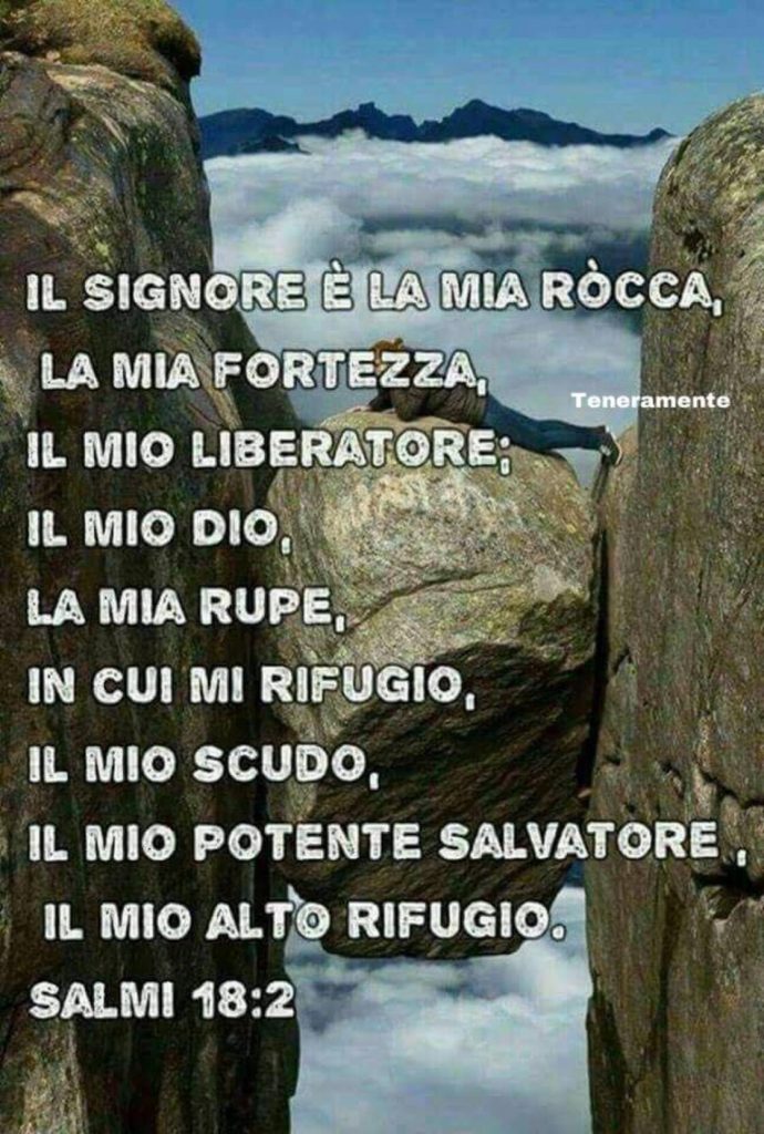 Il Signore è la mia rocca, la mia fortezza, il mio liberatore, il mio Dio, la mia rupe, in cui mi rifugio, il mio scudo, il mio potente salvatore, il mio alto rifugio. (Salmi 18:2)