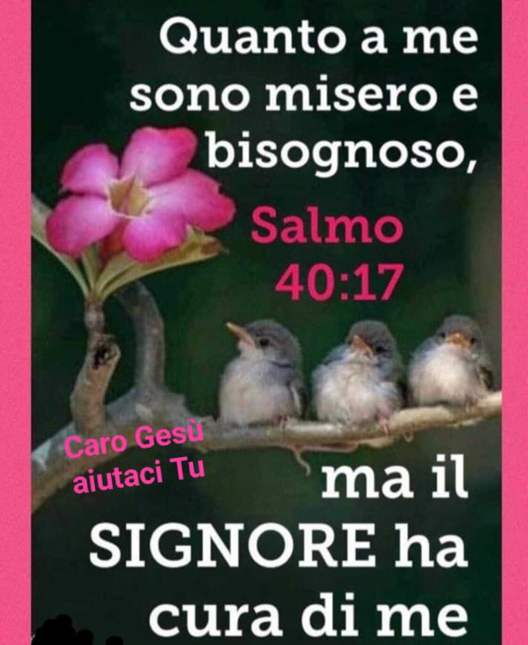 Frasi Bellissime Salmi Più Belli Della Bibbia 59 Salmi della Bibbia bellissimi da condividere - ImmaginiGesu.it