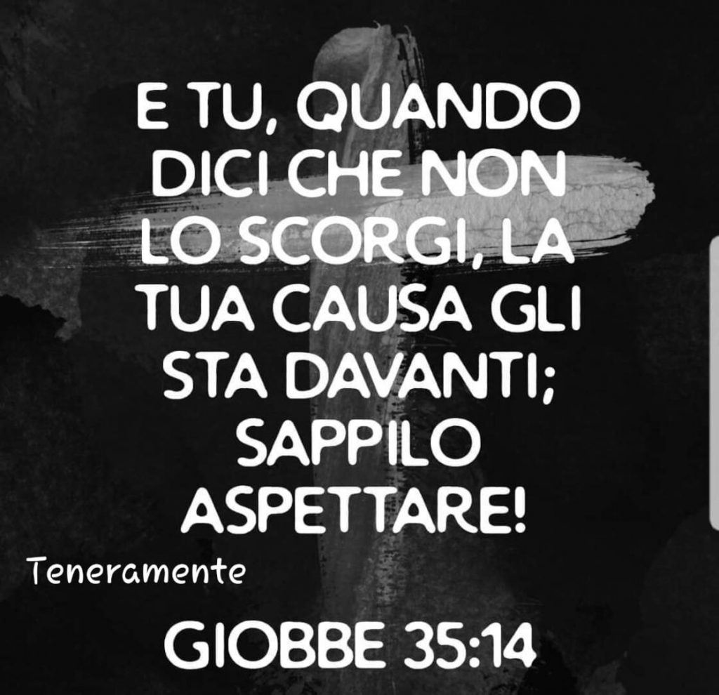 E tu, quando dici che non lo scorgi, la tua causa gli sta davanti; sappilo aspettare! (Giobbe 35:14)