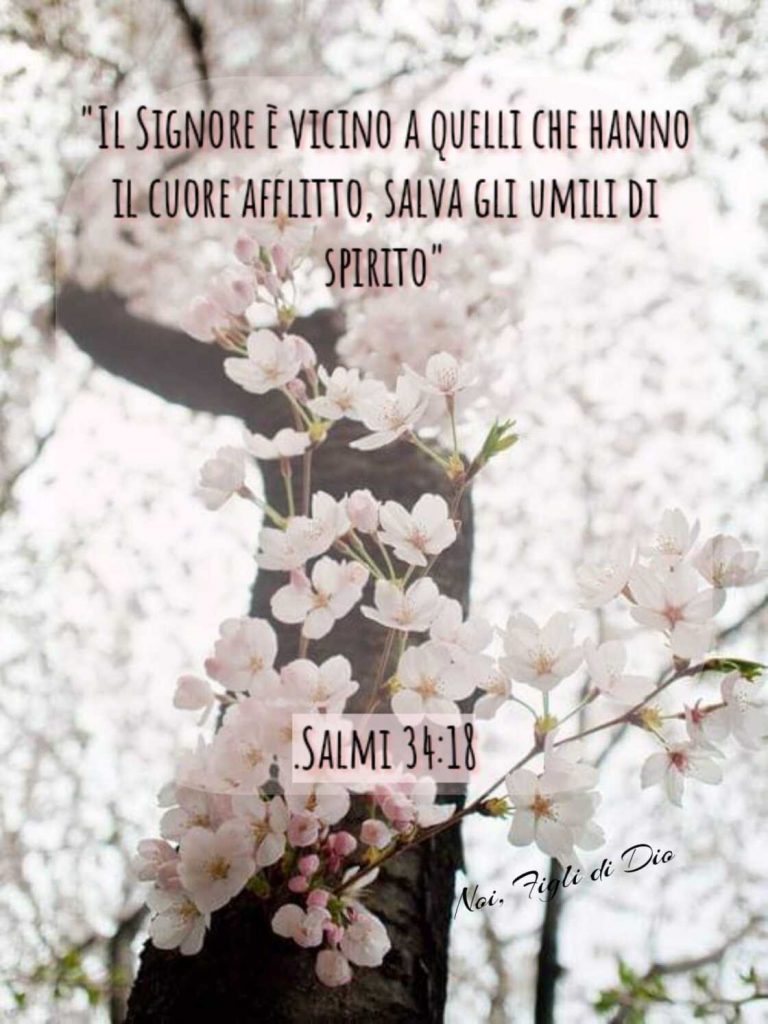 Il Signore è vicino a quelli che hanno il cuore afflitto, salva gli umili di spirito. (Salmi 34:18)