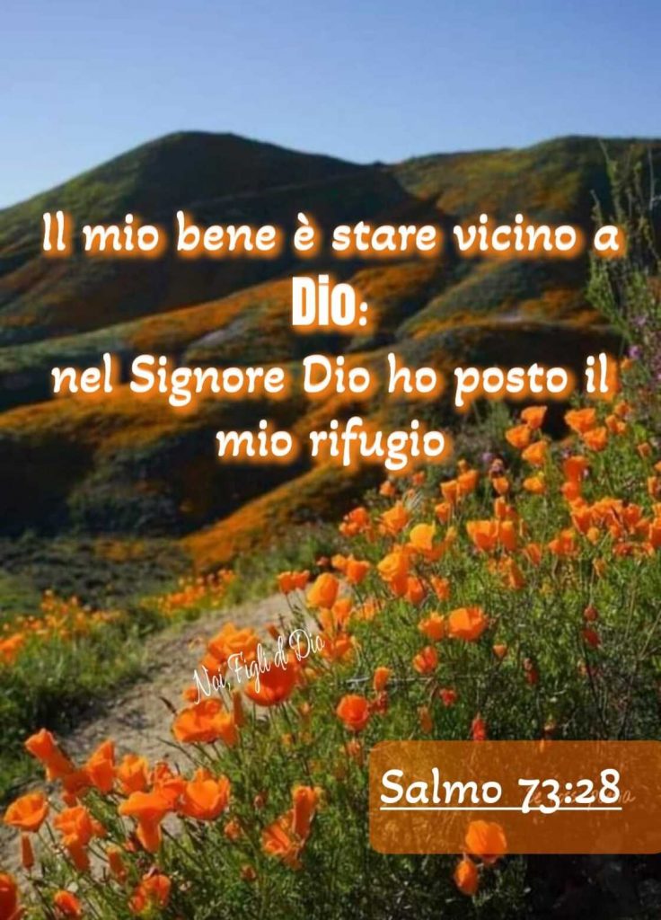 Il mio bene è stare vicino a Dio: nel Signore Dio ho posto il mio rifugio. (Salmo 73:28)