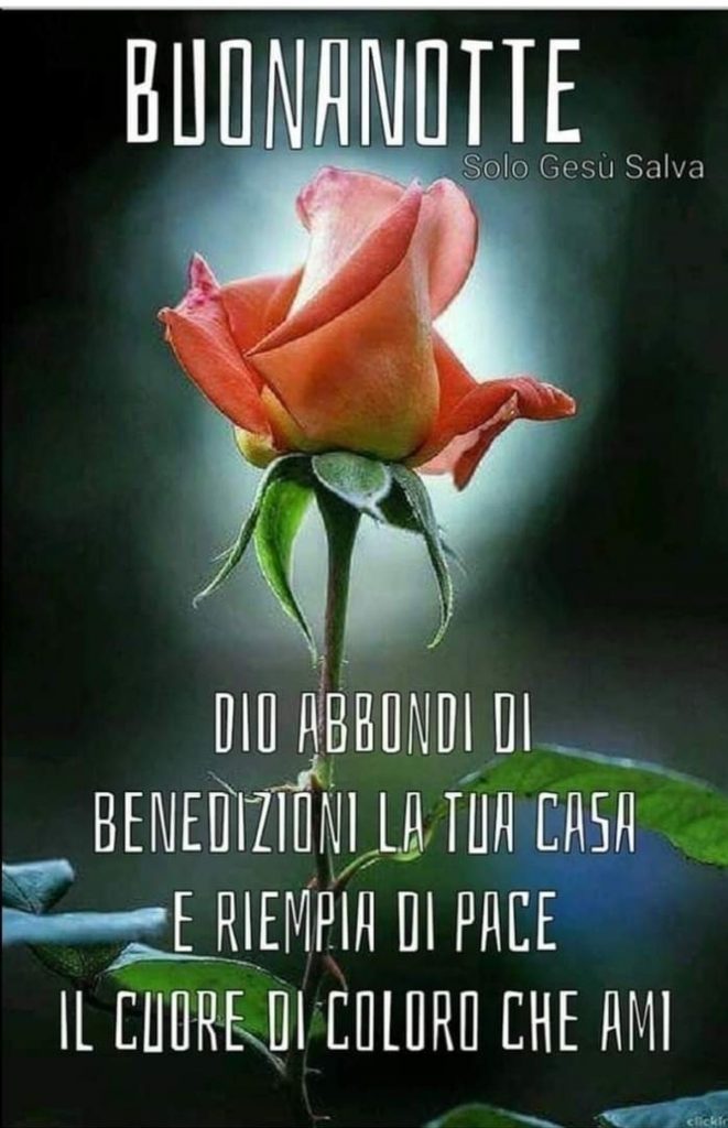 BUONANOTTE. Dio abbondi di benedizioni la tua casa e riempia di pace il cuore di coloro che ami