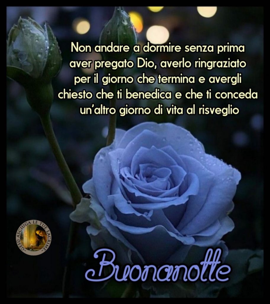 Non andare a dormire senza prima aver pregato Dio, averlo ringraziato per il giorno che termina e avergli chiesto che ti benedica e che ti conceda un altro giorno di vita e risveglio. Buonanotte