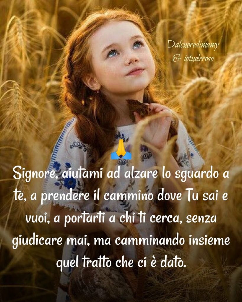 Signore, aiutami ad alzare lo sguardo a Te, a prendere il cammino dove Tu sai e vuoi, a portarti a chi Ti cerca, senza giudicare mai, ma camminando insieme quel tratto che ci è dato.