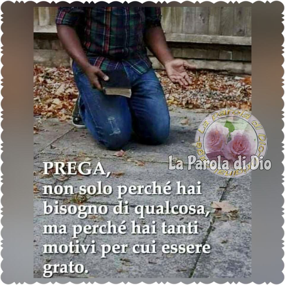 Prega, non solo perché hai bisogno di qualcosa, ma perché hai tanti motivi per cui essere grato. (La Parola di Dio)