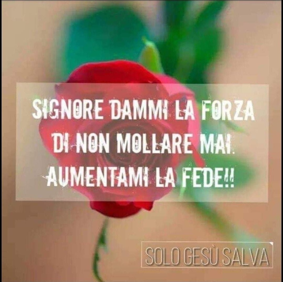 Signore dammi la forza di non mollare mai!!! Aumentami la fede !!!