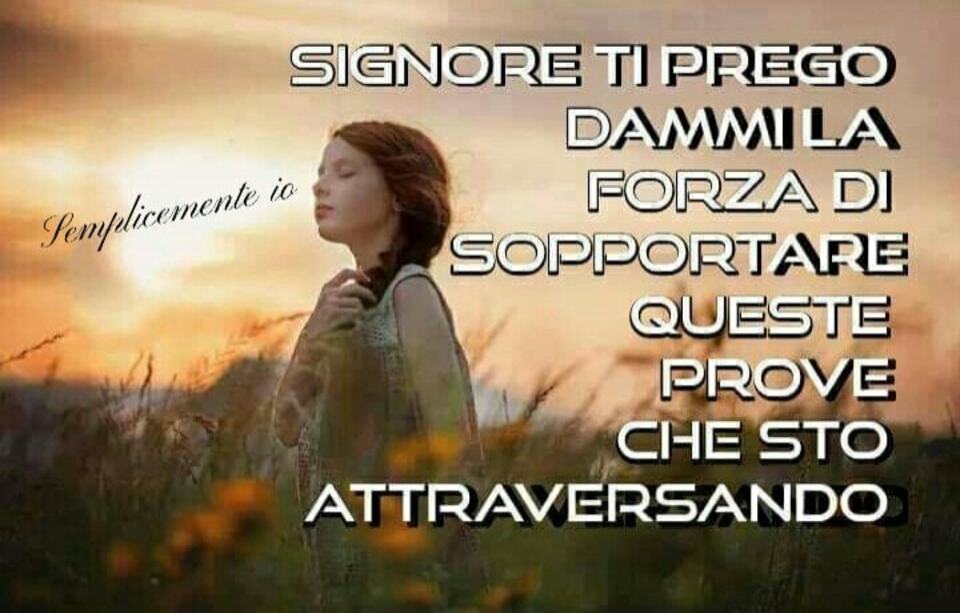 Signore, ti prego dammi la forza di sopportare queste prove che sto attraversando. (Semplicemente io)