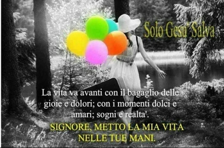 La vita va avanti con il bagaglio delle gioie e dolori; con i momenti dolci e amari, sogni e realtà. Signore, metto la mia vita nelle Tue mani.