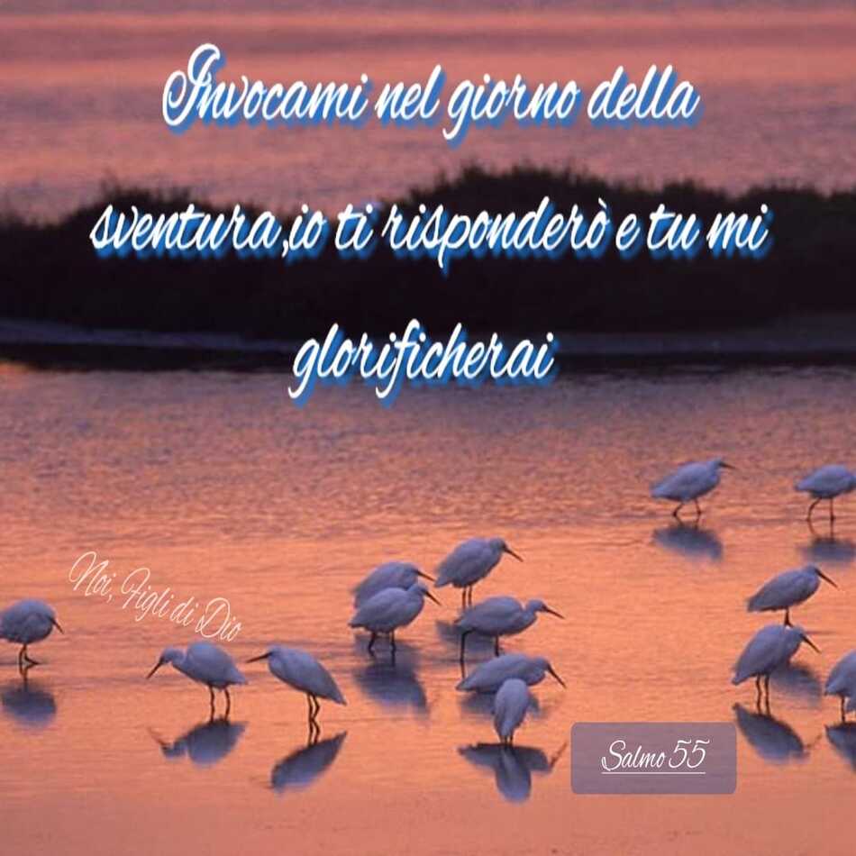 "Invocami nel giorno della sventura, io ti risponderò e tu mi glorificherai." (Salmo 55)