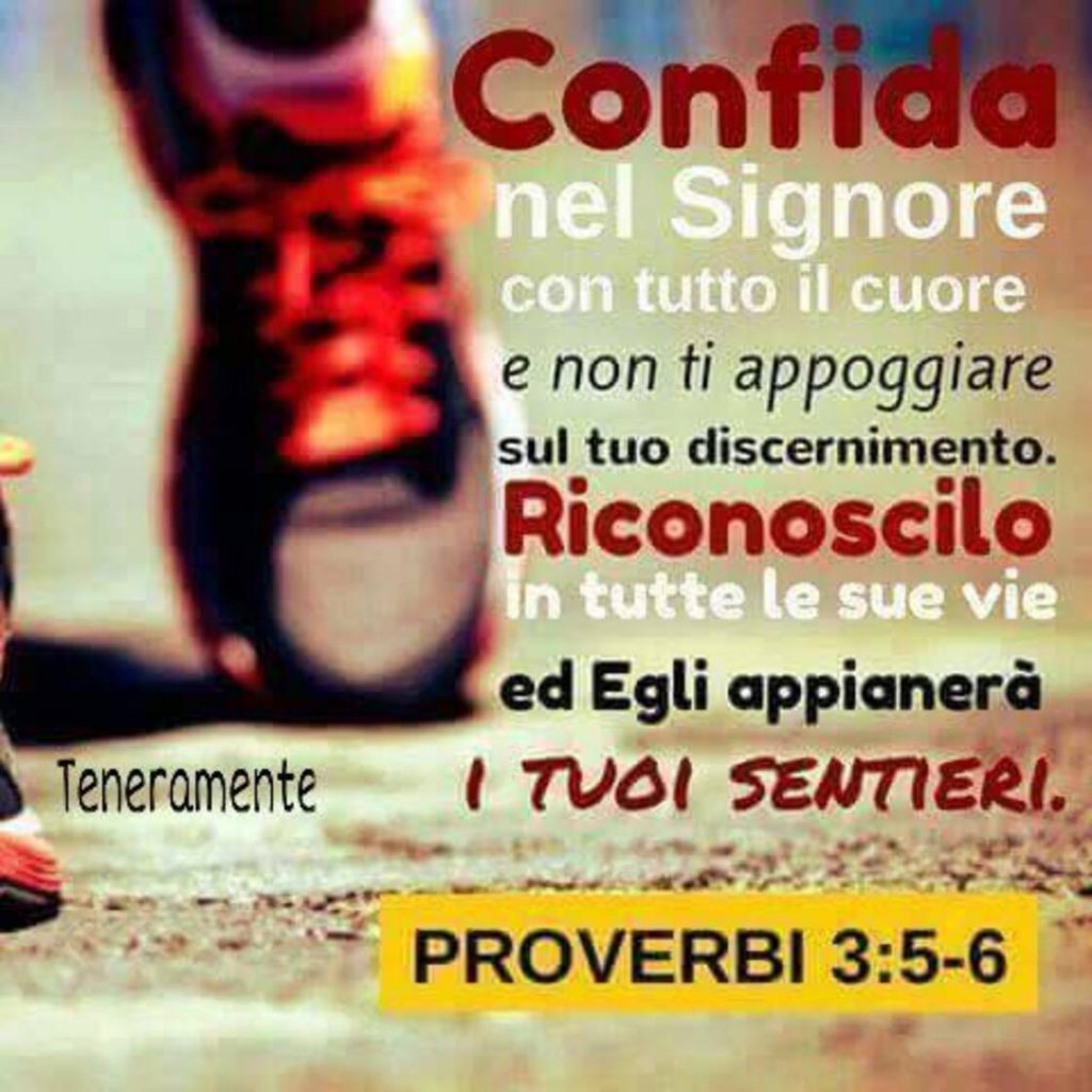 Confida nel Signore con tutto il cuore e non ti appoggiare sul tuo discernimento. Riconoscilo in tutte le sue vie ed Egli appianerà i tuoi sentieri. (Proverbi 3:5-6)