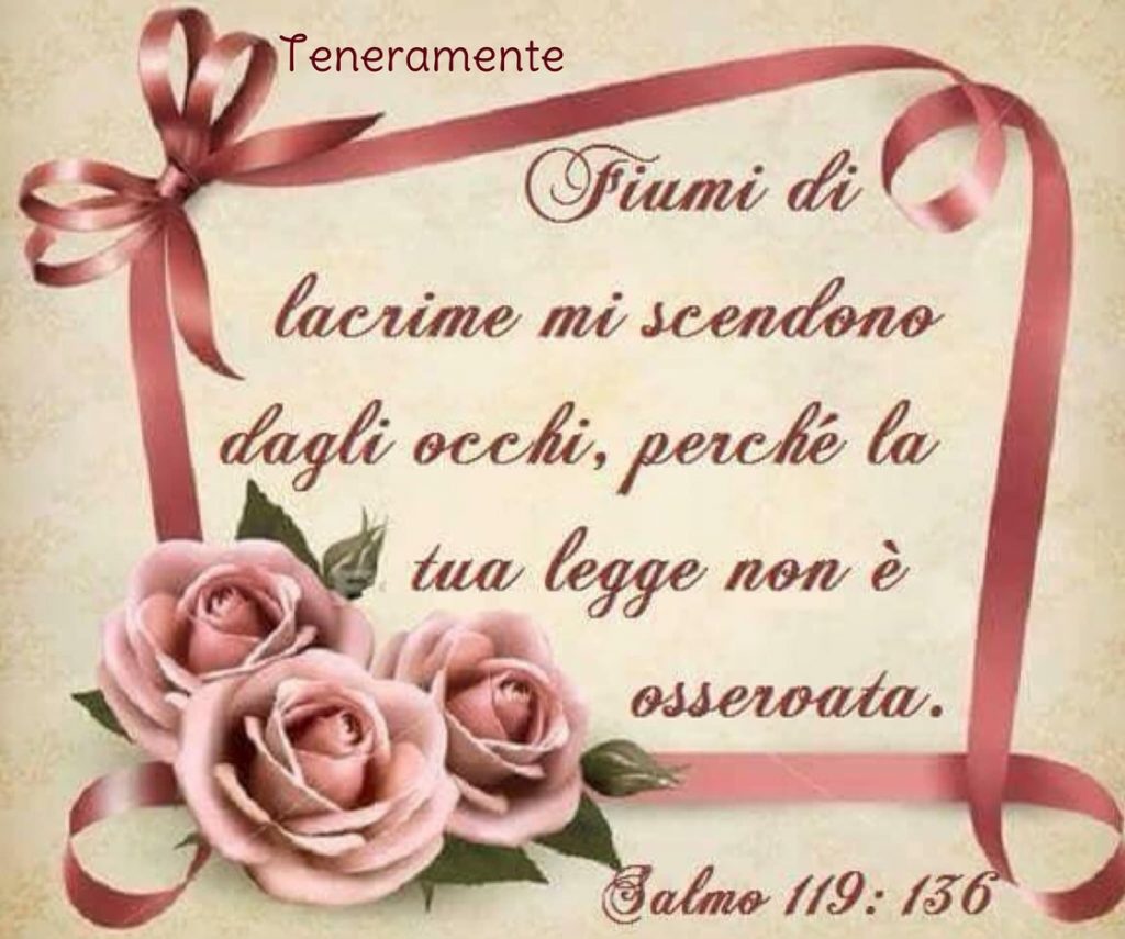 Fiumi di lacrime mi scendono dagli occhi, perché la tua legge non è osservata. (Salmo 119:136)