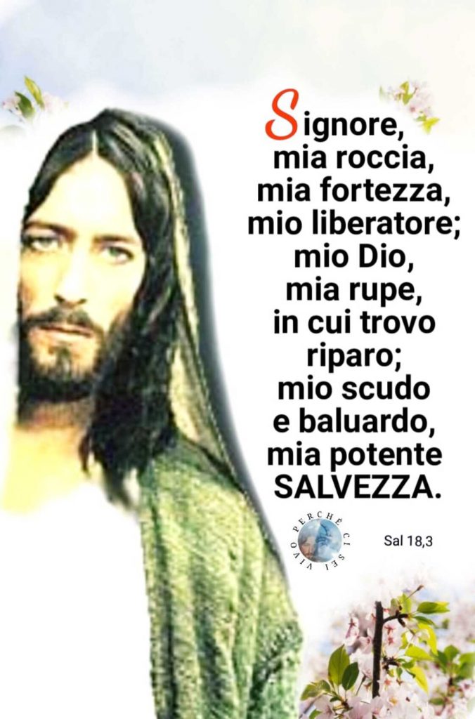 Signore, mia roccia, mia fortezza, mio liberatore; mio Dio, mia rupe, in cui trovo riparo; mio scudo e baluardo, mia potente SALVEZZA. (Sal 18,3)