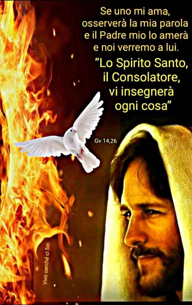 Se uno mi ama, osserverà la mia parola e il Padre mio lo amerà e noi verremo a lui. Lo Spirito Santo, il Consolatore, vi insegnerà ogni cosa. (Gv 14,26)