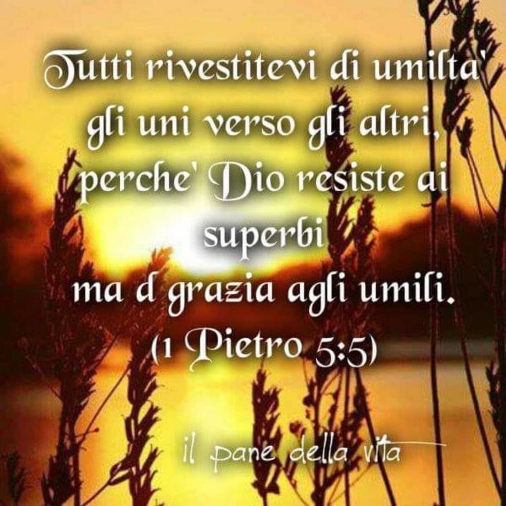 Tutti rivestitevi di umiltà gli uni verso gli altri, perché Dio resiste ai superbi ma da grazia agli umili. (1 Pietro 5:5)