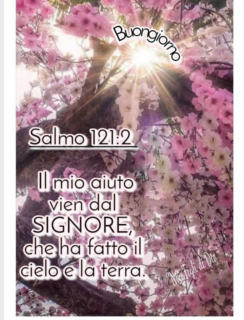 Buongiorno. Il mio aiuto vien dal Signore, che ha fatto il cielo e la terra. (Salmo 121:2)