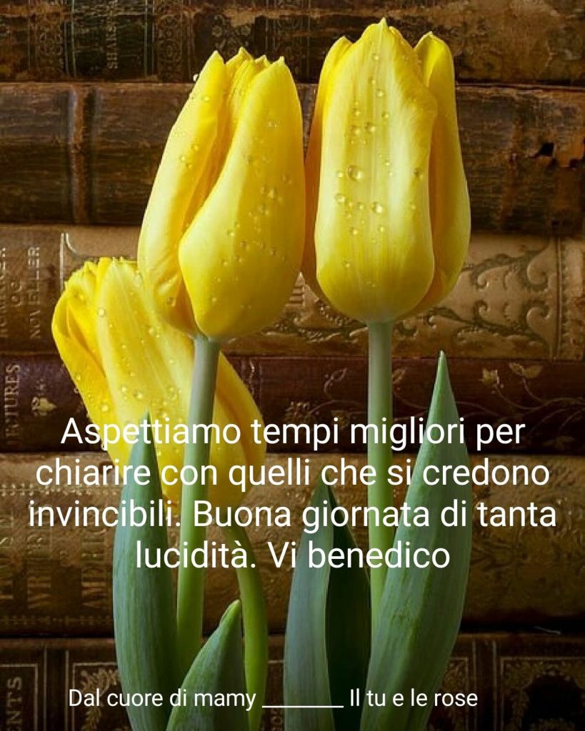 Aspettiamo tempi migliori per chiarire con quelli che si credono invincibili. Buona Giornata di tanta lucidità. Vi benedico