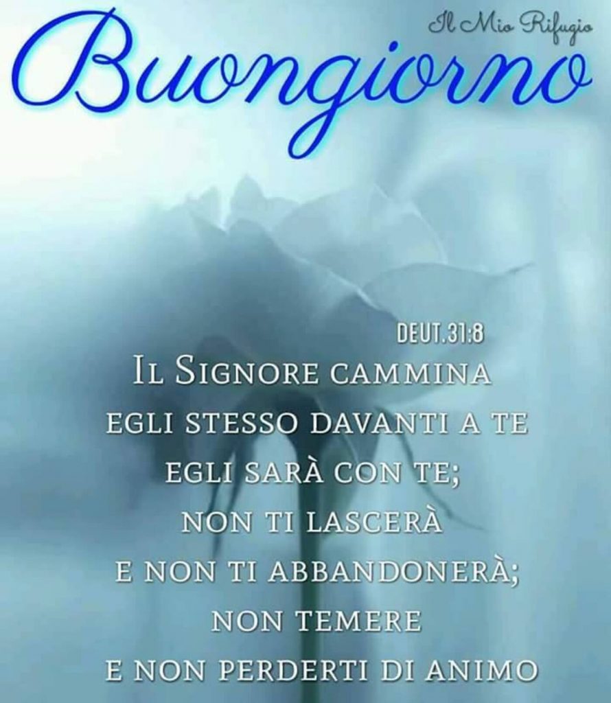 Buongiorno. Il Signore cammina Egli stesso davanti a te, Egli sarà con te; non ti lascerà e non ti abbandonerà; non temere e non perderti d'animo. (Deut. 31:8)