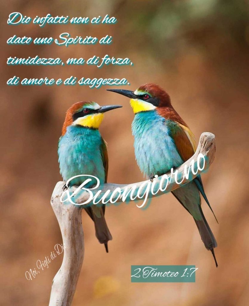 Dio infatti non ci ha dato uno Spirito di timidezza, ma di forza, di amore e saggezza. Buongiorno