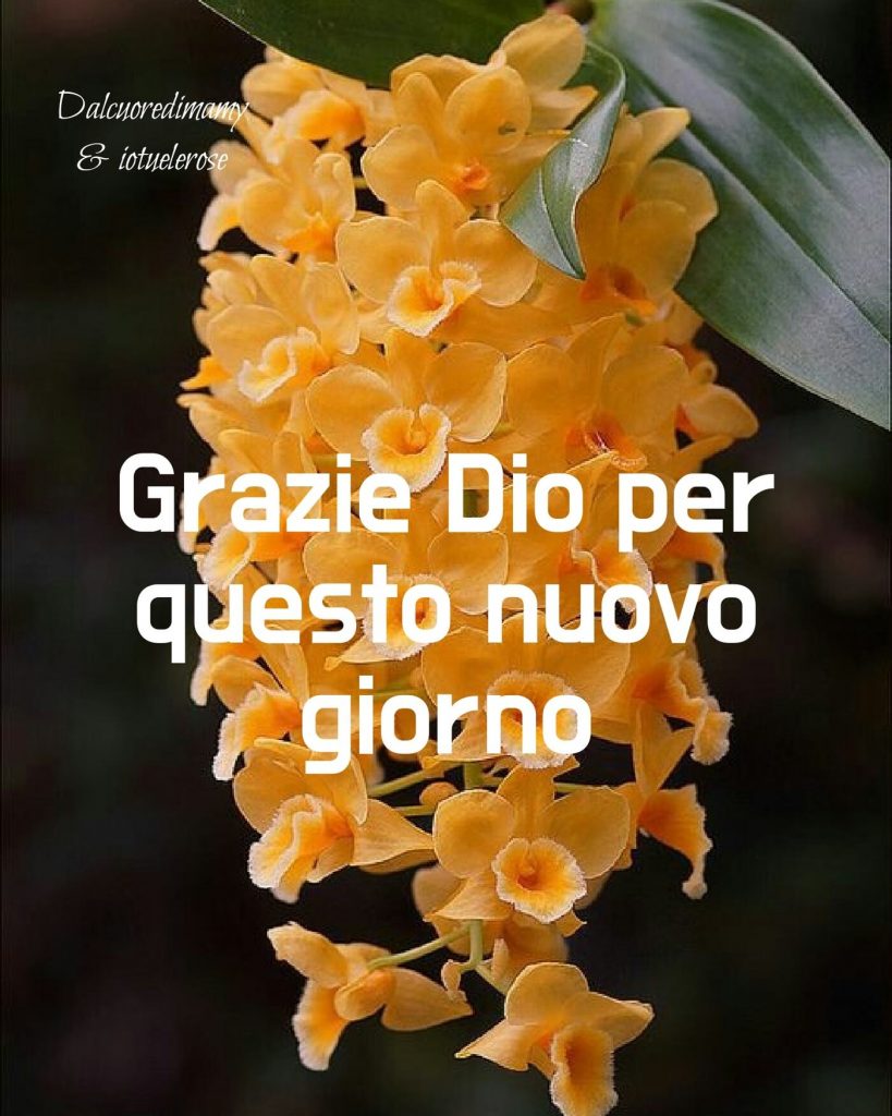 Grazie Dio per questo nuovo giorno