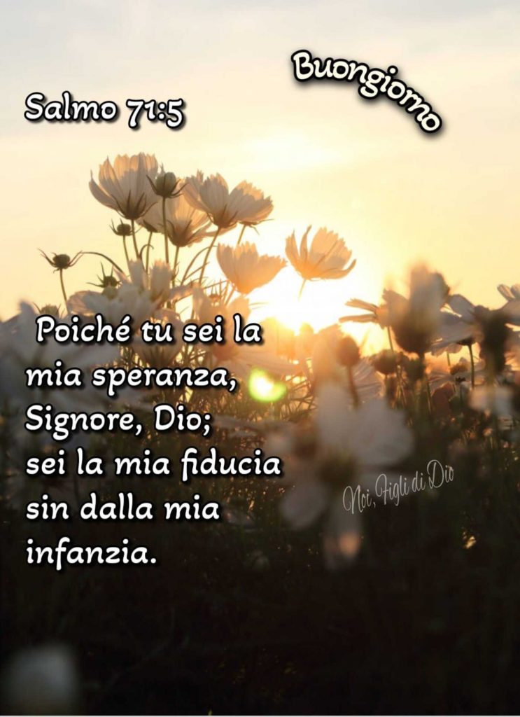 Buongiorno. Poiché tu sei la mia speranza, Signore, Dio; sei la mia fiducia sin dalla mia infanzia. (Salmo 71:5)