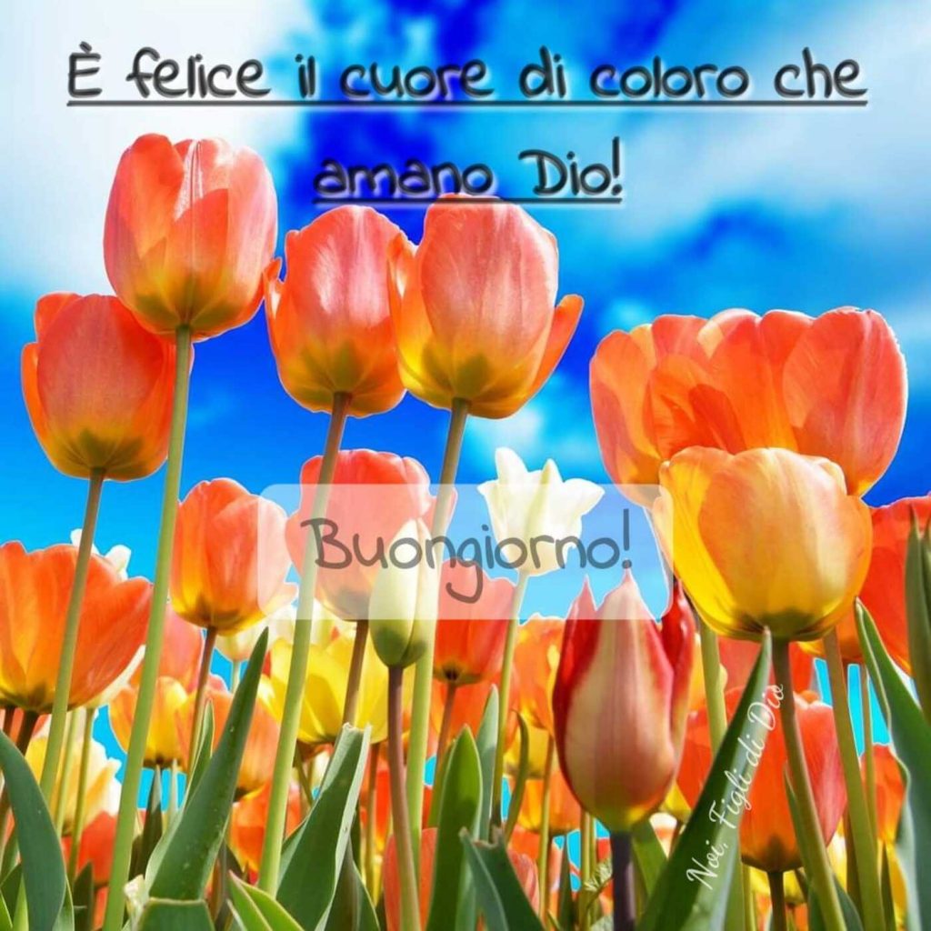 È felice il cuore di coloro che amano Dio! Buongiorno!