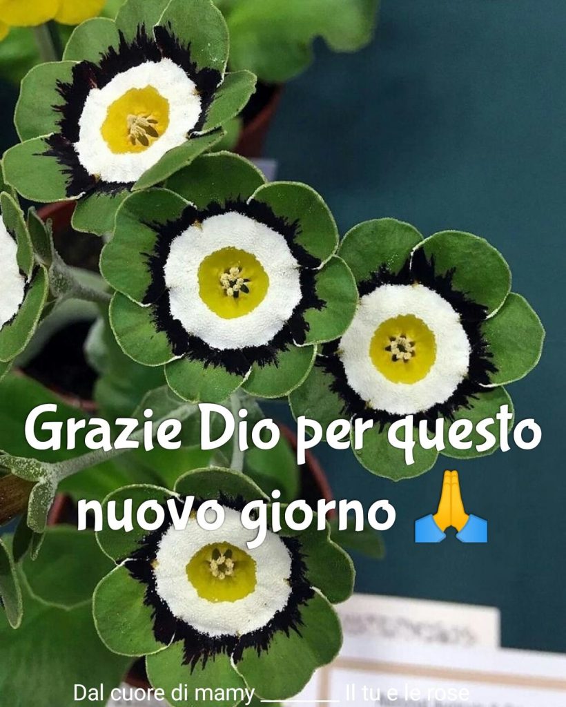 Immagini nuovissime di Buona Giornata nel Signore