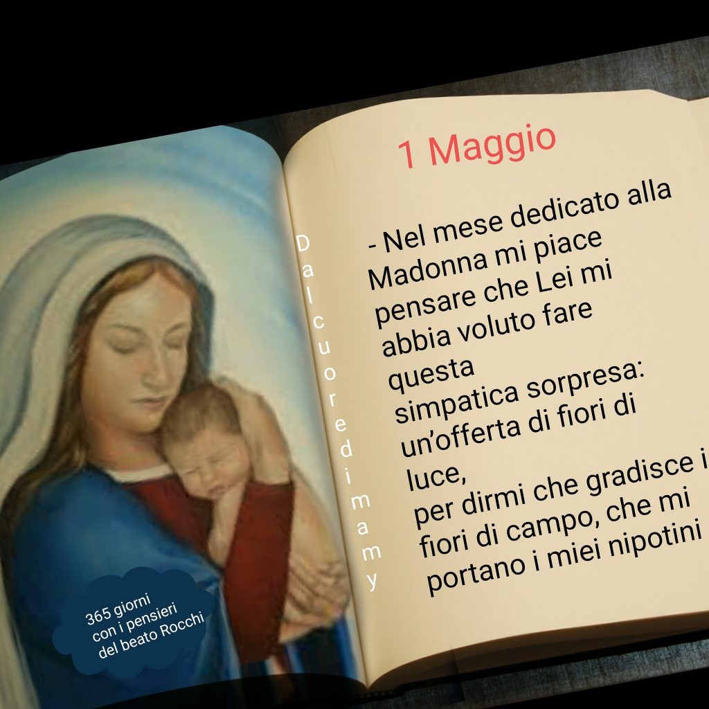 1 Maggio. Nel mese dedicato alla Madonna mi piace pensare che Lei mi abbia voluto fare questa simpatica sorpresa: un'offerta di fiori e luce, per dirmi che gradisce i fiori di campo, che mi portano i miei nipotini.