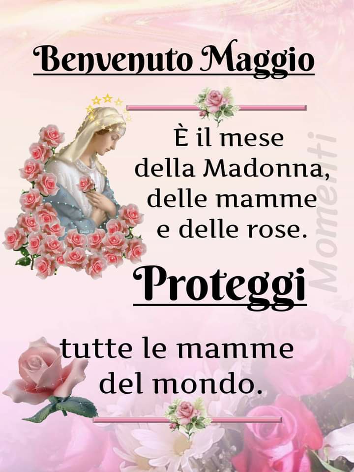 Benvenuto Maggio. È il mese della Madonna, delle mamme e delle rose. Proteggi tutte le mamme del mondo (Momenti)