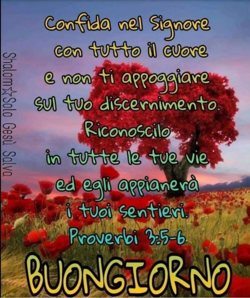 Confida nel Signore con tutto il cuore e non ti appoggiare sul tuo discernimento. Riconoscilo in tutte le tue vie ed Egli appianerà i tuoi sentieri. (Proverbi 3:5-6) BUONGIORNO