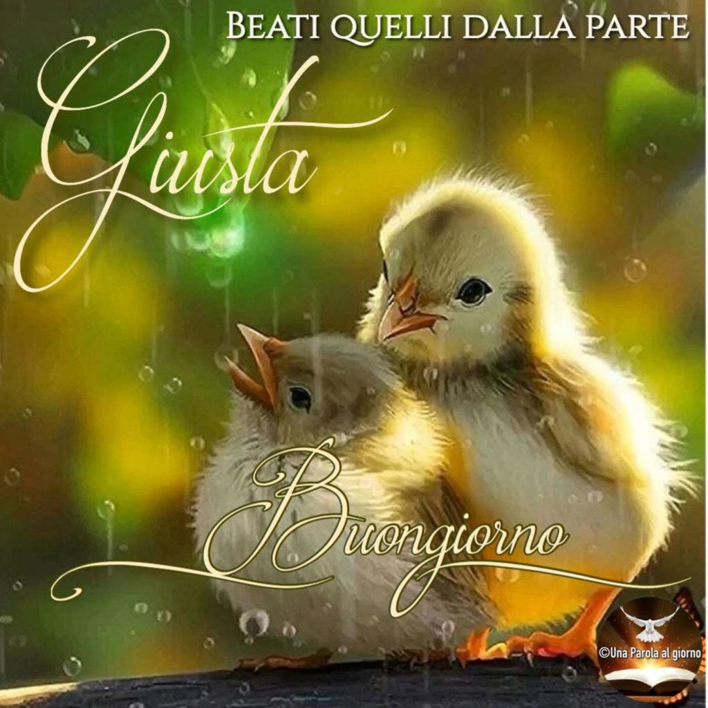 Beati quelli dalla parte giusta. Buongiorno