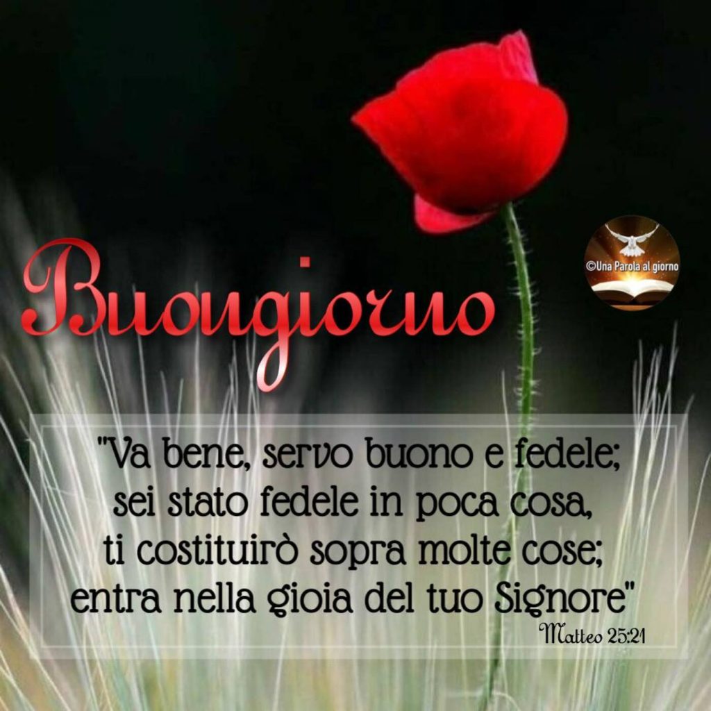 Buongiorno. "Va bene, servo buono e fedele; sei stato fedele in poca cosa, ti costituirò sopra molte cose; entra nella gioia del Tuo Signore." (Matteo 25:21)