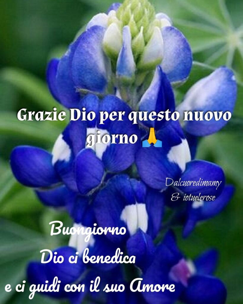Grazie Dio per questo nuovo giorno. Buongiorno, Dio ci benedica e ci guidi con il suo Amore