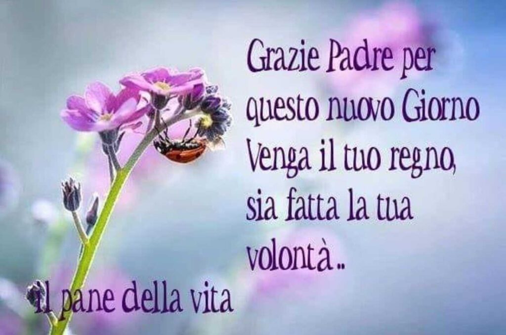 Grazie Padre per questo nuovo Giorno. Venga il tuo regno, sia fatta la tua volontà..