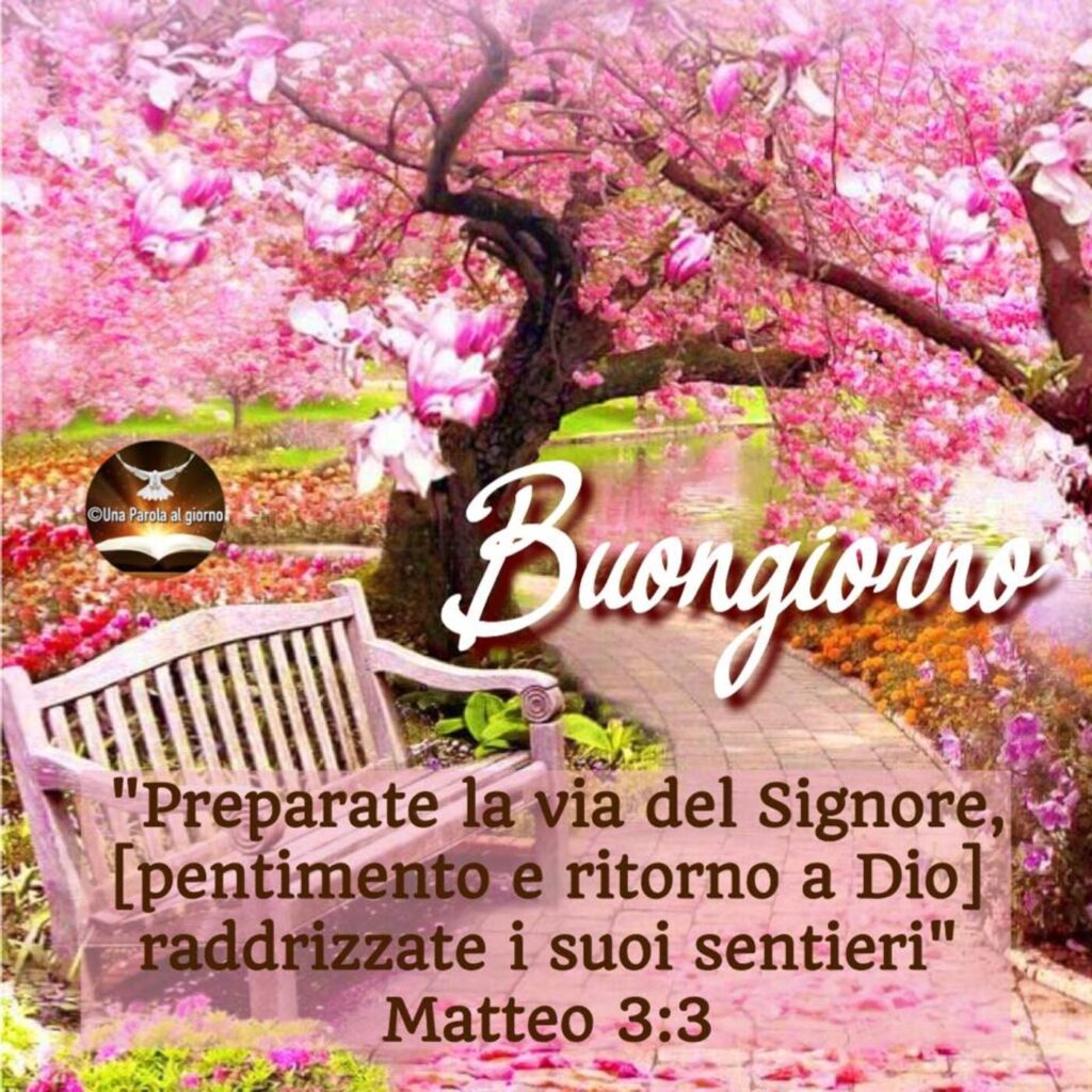Buongiorno. Preparate la via del Signore, pentimento e ritorno a Dio, raddrizzate i suoi sentieri. (Matteo 3:3)