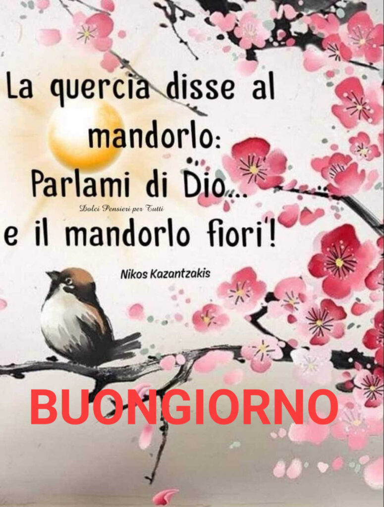 La quercia disse al mandorlo: "Parlami di Dio... e il mandorlo fiorì!" Buongiorno (Nikos Kozantkazis)