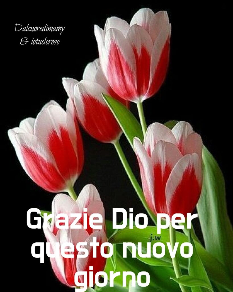 Grazie Dio per questo nuovo giorno.