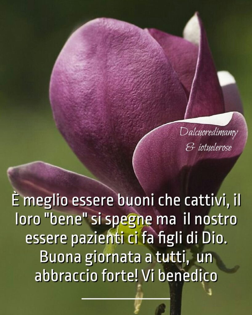 È meglio essere buoni che cattivi, il loro "bene" si spegne ma il nostro essere pazienti ci fa figli di Dio. Buona Giornata a tutti, un abbraccio forte! Vi benedico
