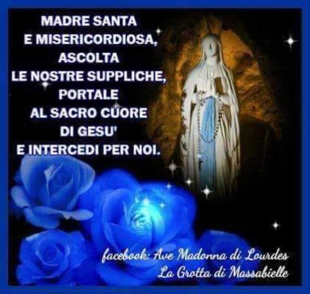 Madre Santa e misericordiosa, ascolta le nostre suppliche, portale al Sacro Cuore di Gesù e intercedi per noi.