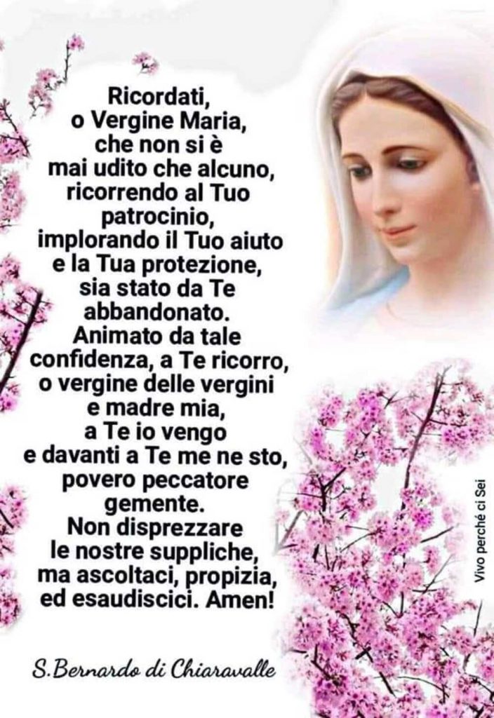 Ricordati, o Vergine Maria, che non si è mai udito che alcuno, ricorrendo al Tuo patrocinio, implorando il Tuo aiuto e la Tua benedizione, sia stato da Te abbandonato... (S. Bernardo di Chiaravalle)