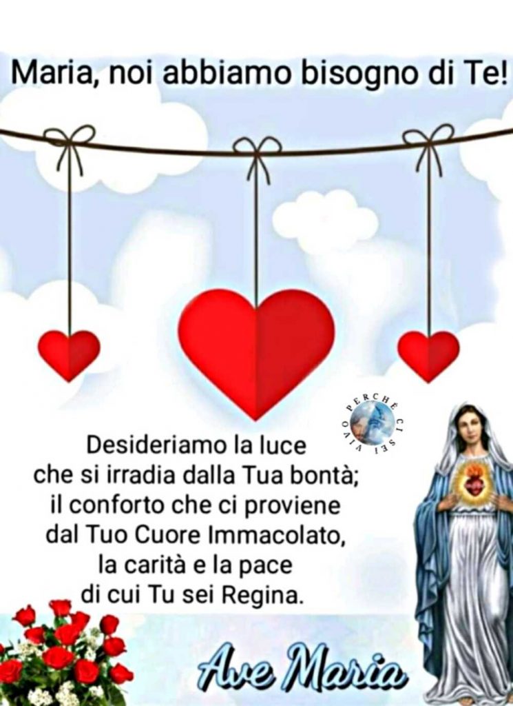 Maria, noi abbiamo bisogno di Te! Desideriamo la luce che si irradia dalla Tua bontà...