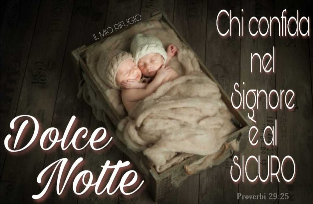 Dolce Notte. Chi confida nel Signore è al sicuro. (Proverbi 29:25)