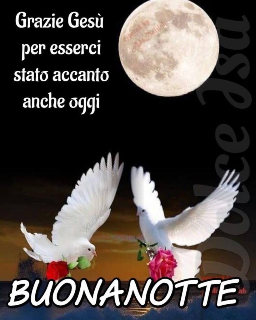 Grazie Gesù per esserci stato accanto anche oggi. BUONANOTTE (Dolce Isa)