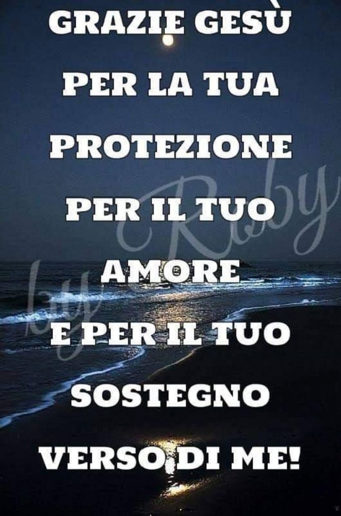 Grazie Gesù per la Tua protezione, per il Tuo amore e per il Tuo sostegno verso di me!