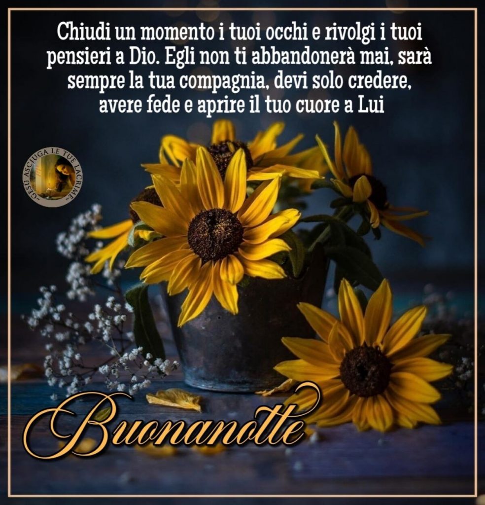 Chiudi un momento i tuoi occhi e rivolgi i tuoi pensieri a Dio. Egli non ti abbandonerà mai, sarà sempre la tua compagnia, devi solo credere, avere fede e aprire il tuo cuore a Lui. Buonanotte