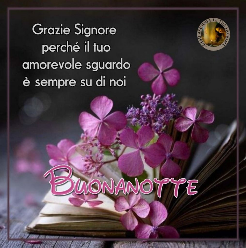 Grazie Signore perché il Tuo amorevole sguardo è sempre su di noi. Buonanotte