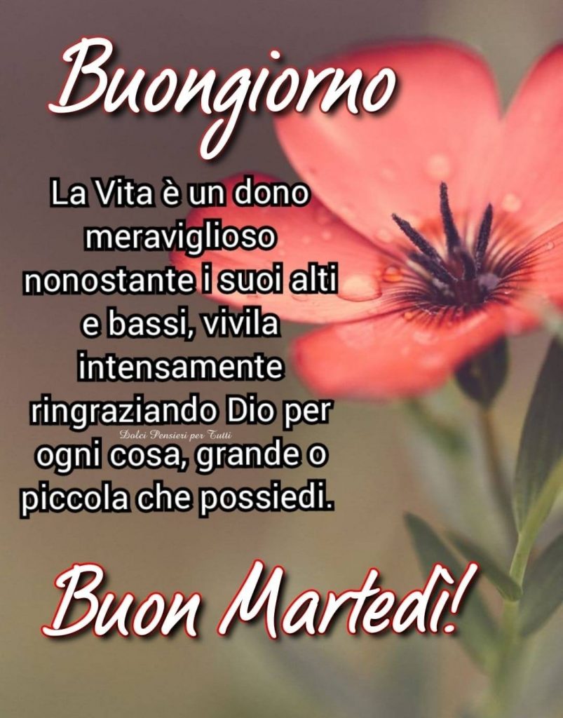 Buongiorno. La vita è un dono meraviglioso nonostante i suoi alti e bassi, vivila intensamente ringraziando Dio per ogni cosa, grande o piccola che possiedi. Buon Martedì!