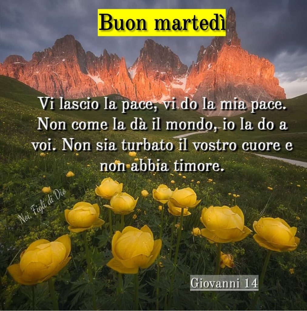 Buon martedì. Vi lascio in pace, vi do la mia pace. Non come la dà il mondo, io la do a voi. Non sia turbato il vostro cuore e non abbia timore. (Giovanni 14)