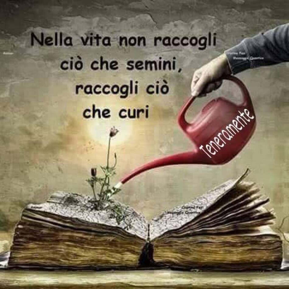 Nella vita non raccogli ciò che semini, raccogli ciò che curi.